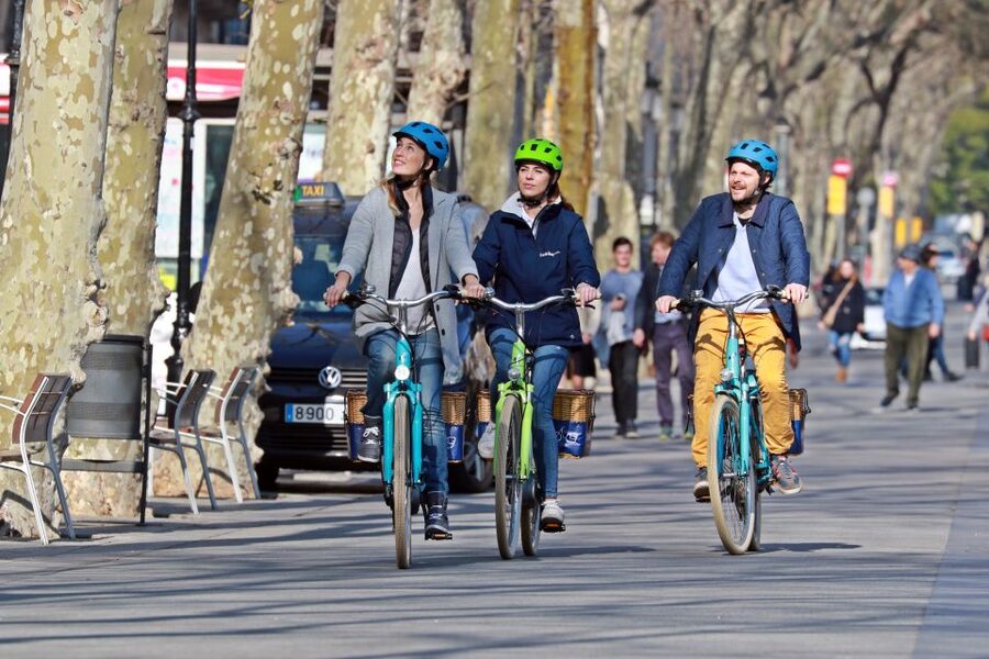 Barcelona: Montjuic Hill E-Bike Tour - The National Palace and Barcelona’s great city view