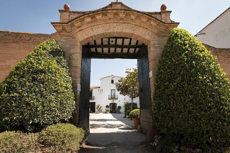 Barcelona: Montserrat Tour with Lunch & Wine Tasting Option - What makes the guides useful