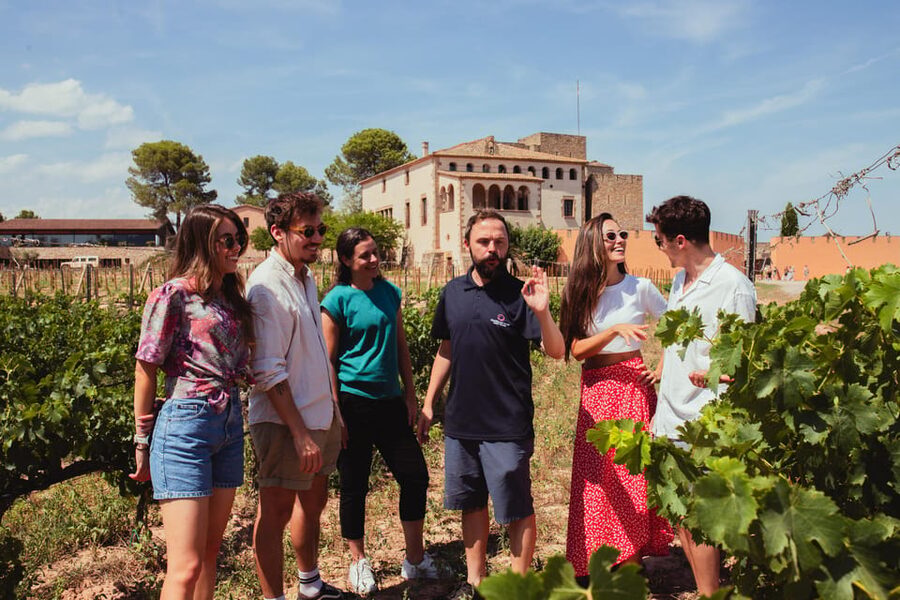 Barcelona: Montserrat with Winery, Lunch, and Train Options - Choosing Among the Three Tour Options