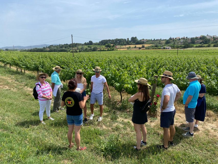 Barcelona: Montserrat with Winery Visit and Farmhouse Lunch - What the $147 price really buys