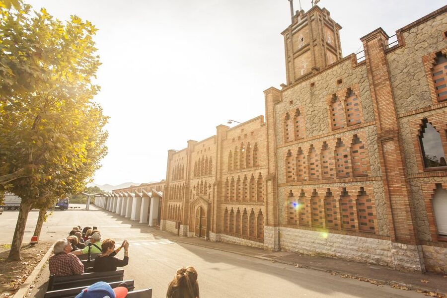 Barcelona: Montserrat with Winery Visit and Farmhouse Lunch - Who should book this day trip?