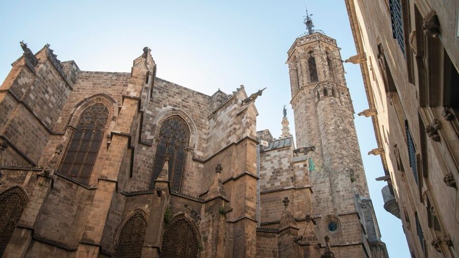 Barcelona: Old Town and Gothic Quarter Walking Tour - Gothic Quarter lanes, Plaça del Rei, and the royal past