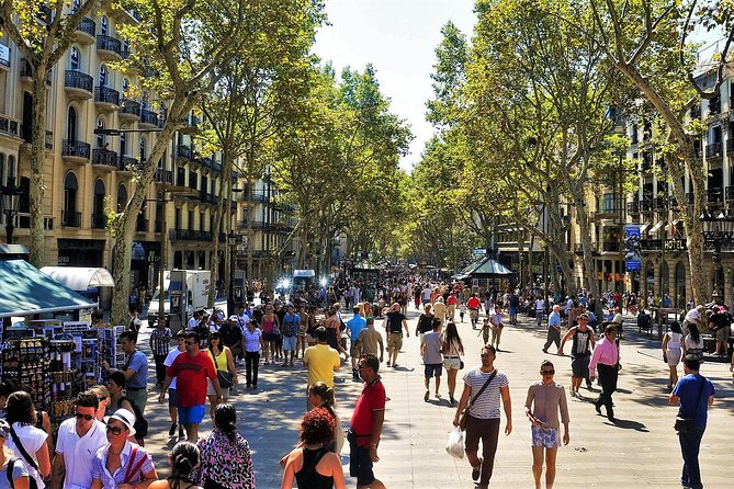Barcelona Old Town & Gothic Quarter Small Group Tour - Meeting at Carrer de Fontanella