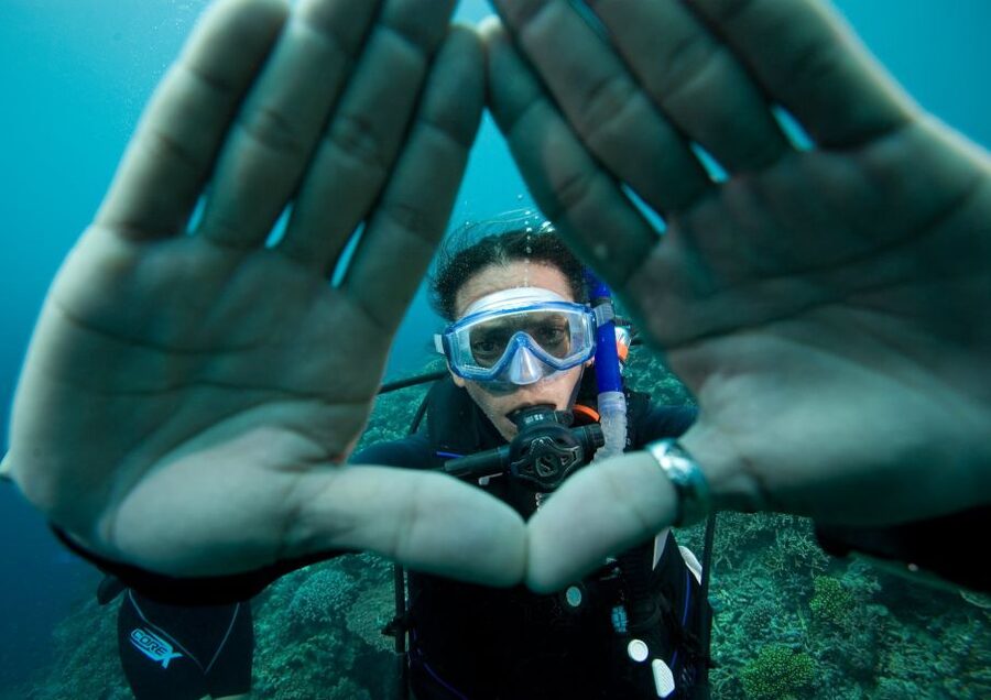 Barcelona: PADI Discover Scuba Diving - What you may see beneath Barcelona’s water