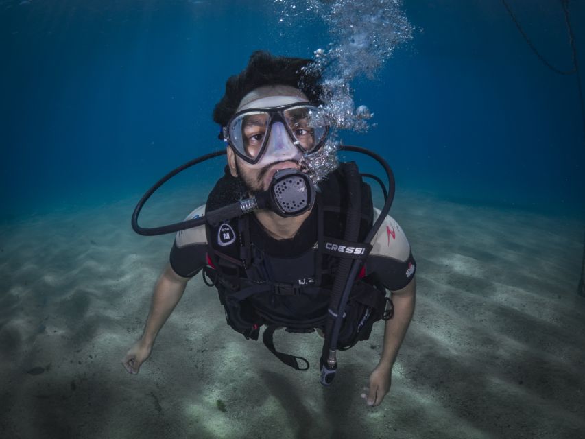 Barcelona: PADI Discover Scuba Diving - Who should book this activity?