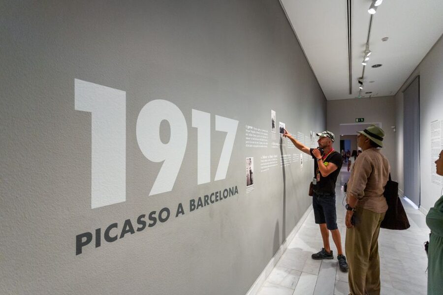 Barcelona: Picasso Museum Skip-the-Line Guided Tour - Entering the Picasso Museum without wasting time