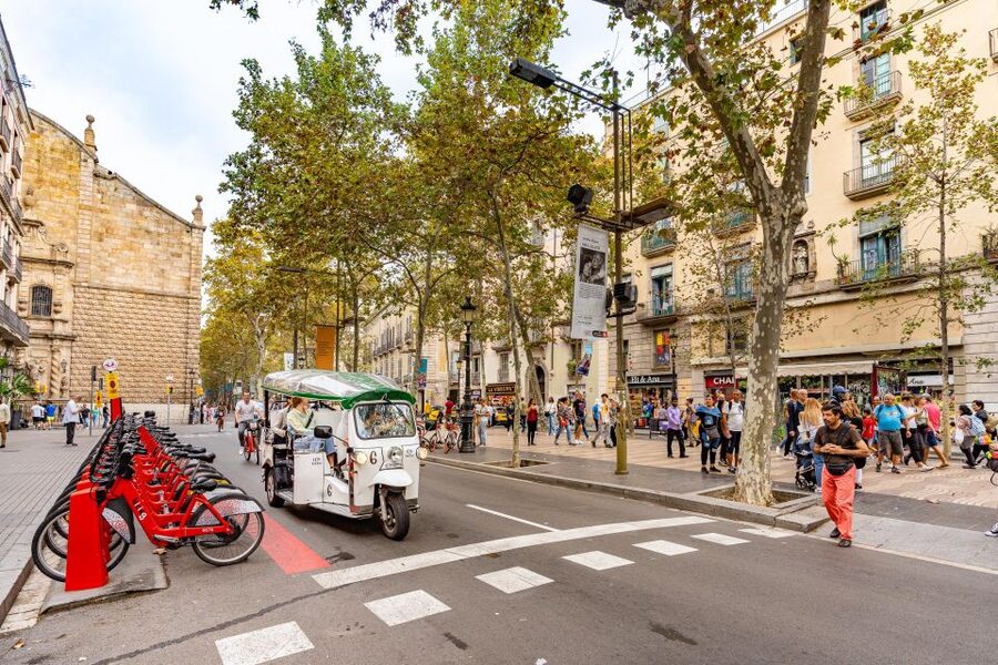 Barcelona: Private City Tour by Eco Tuk Tuk - Sagrada Familia from the tuk tuk