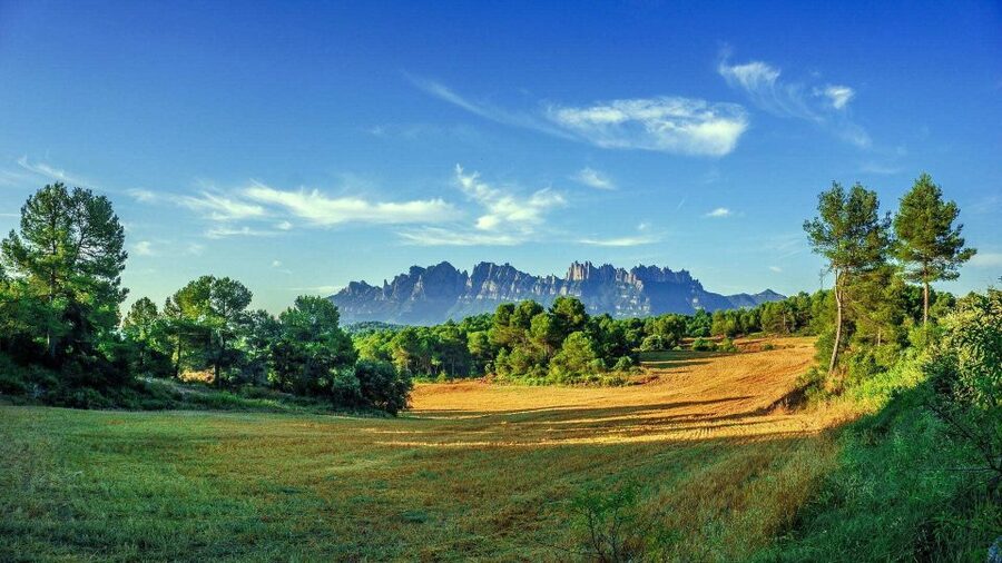 Barcelona: Sagrada Familia & Montserrat Full-Day with Pickup - Who will get the most from this Barcelona day trip?