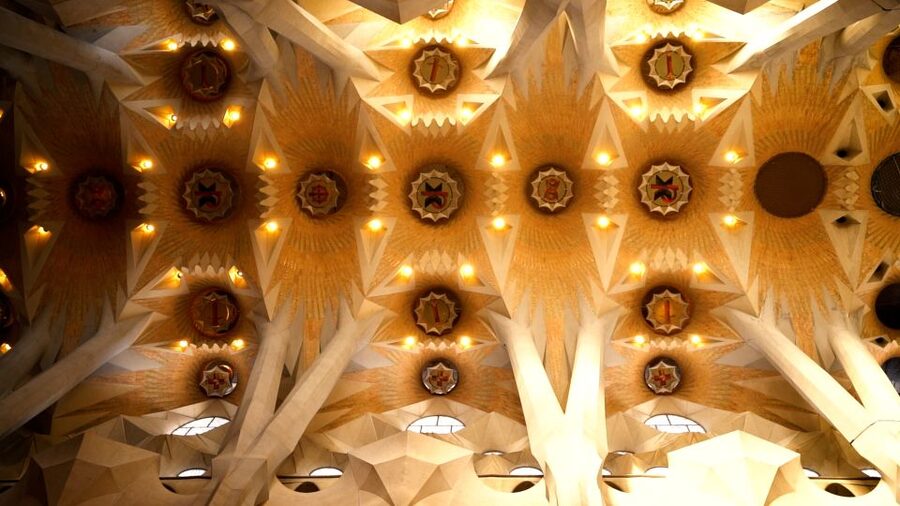 Barcelona: Sagrada Familia Skip-the-Line Guided Tour - Dress rules and practical preparation