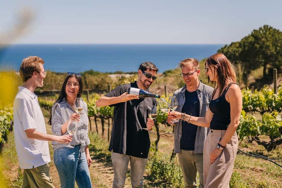 Barcelona: Sailing Cruise & Vineyard Tour with Wine Tasting - From Port Olímpic to the Alella coast