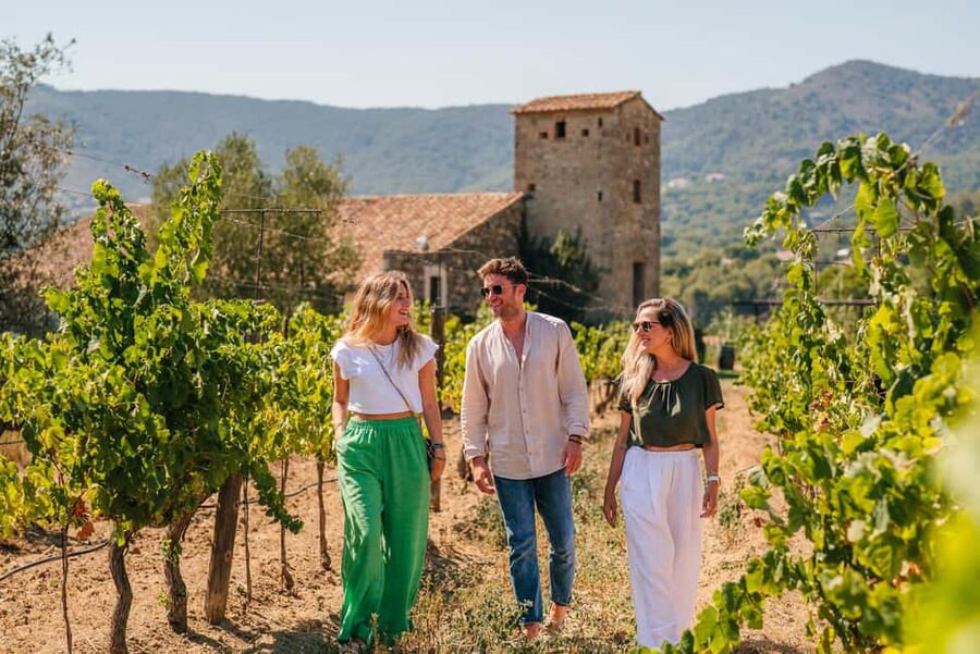Barcelona: Sailing Cruise & Vineyard Tour with Wine Tasting - Is $159 a fair price?