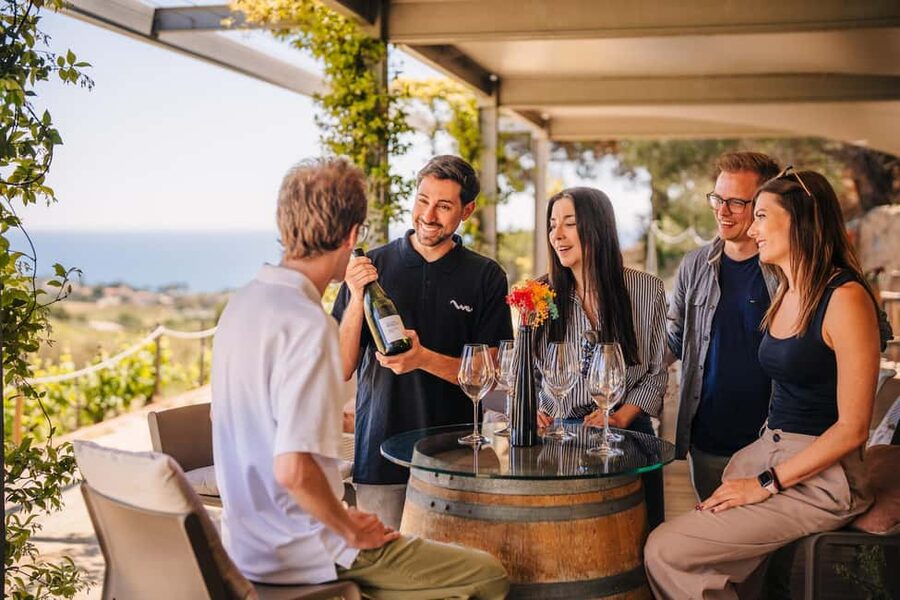 Barcelona: Sailing Cruise & Vineyard Tour with Wine Tasting - Should you book the Barcelona sailing and winery tour?