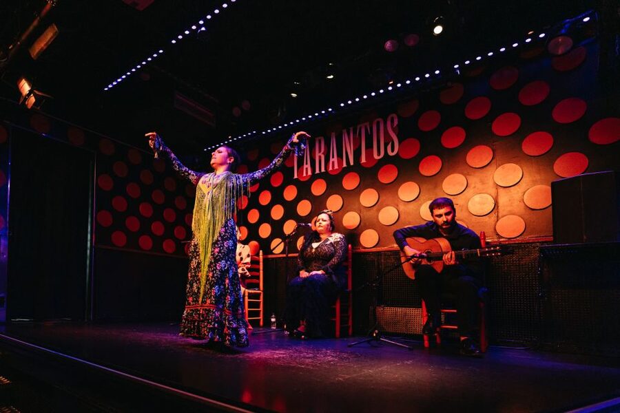 Barcelona: Tapas and Flamenco Experience - Key points at a glance