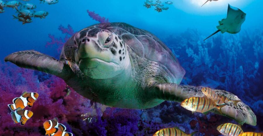 Benalmadena Aquarium Visit - Starting at Calle de la Dársena