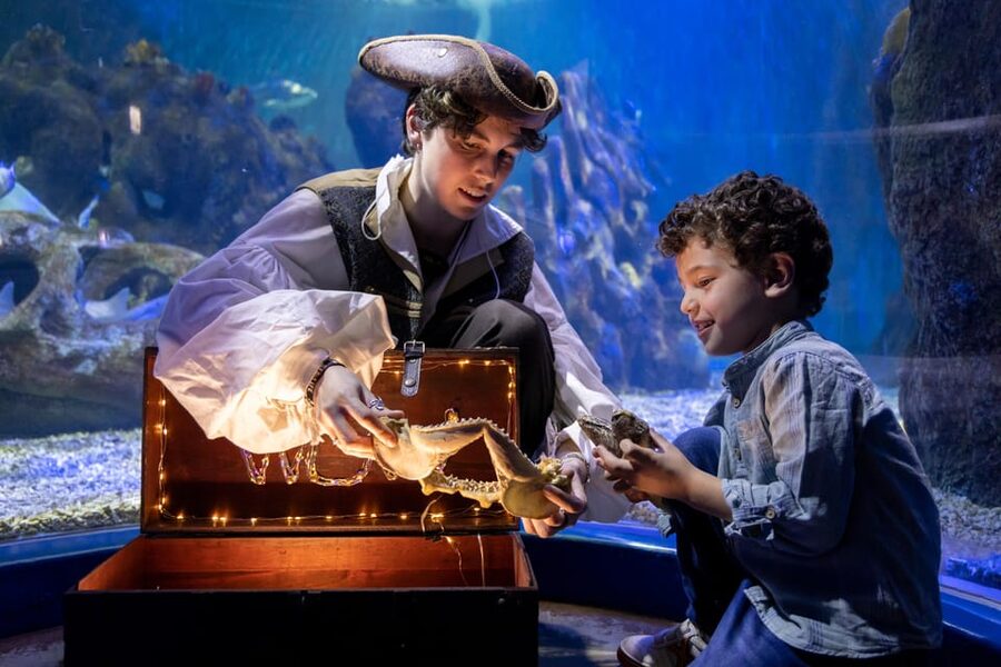 Benalmadena Aquarium Visit - Mediterranean waters set the scene