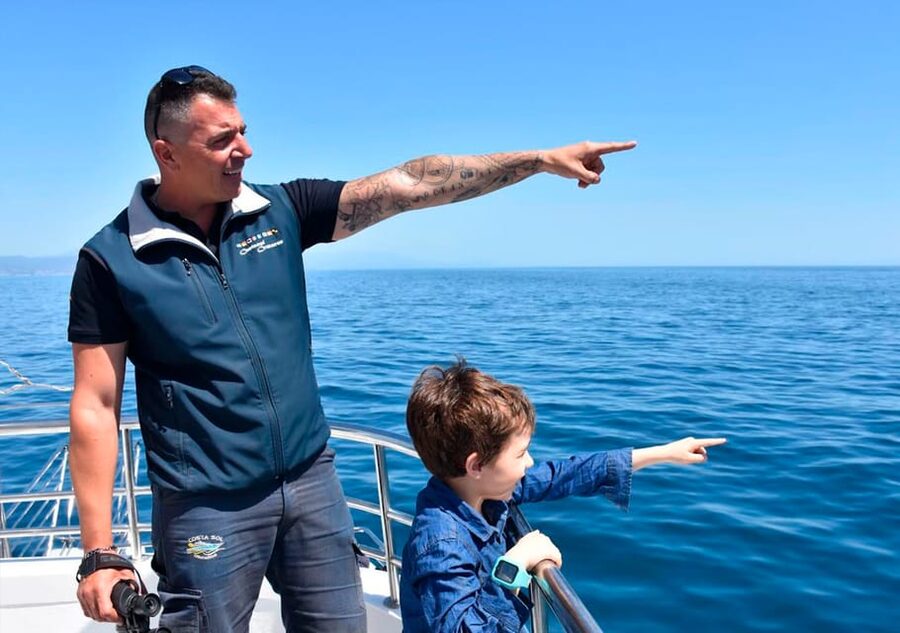 Benalmadena: Dolphin Watching Boat Tour - Searching for dolphins in open water