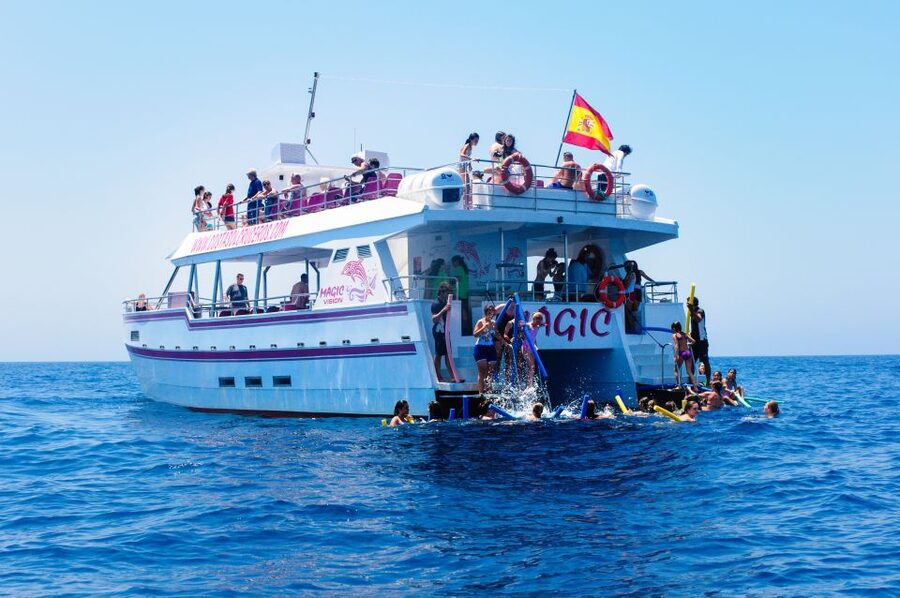 Benalmadena: Dolphin Watching Boat Tour - The summer swim is a bonus, not the main event