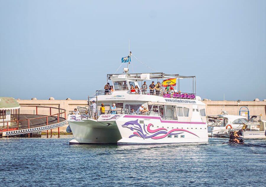 Benalmadena: Dolphin Watching Boat Tour - The first minutes: Costa del Sol views and sea air