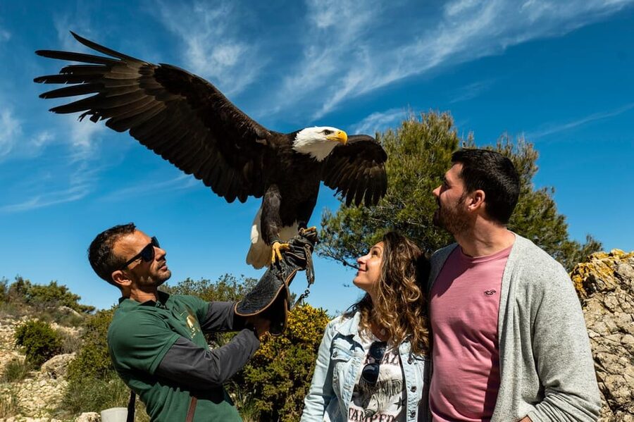 Benalmádena: Mount Calamorro Cable Car Ticket - A café, mountain air, and optional birds of prey