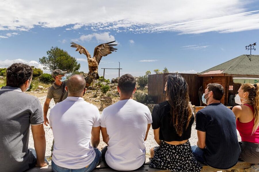 Benalmádena: Mount Calamorro Cable Car Ticket - How long should you allow?