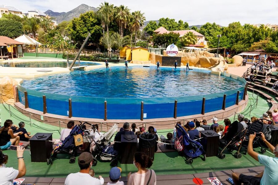 Benalmadena: Selwo Marina Admission Ticket - Talks that make the animals mean more