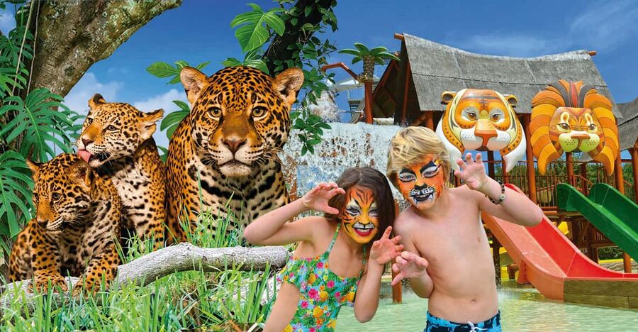 Benidorm: Terra Natura and Aqua Natura Combo Day Ticket - What the $55 combo ticket really gives you