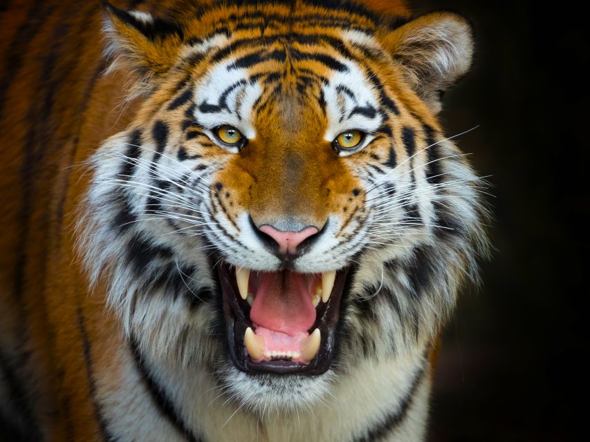 Benidorm: Terra Natura Theme Park 1-Day Tickets - Key points to know before you go
