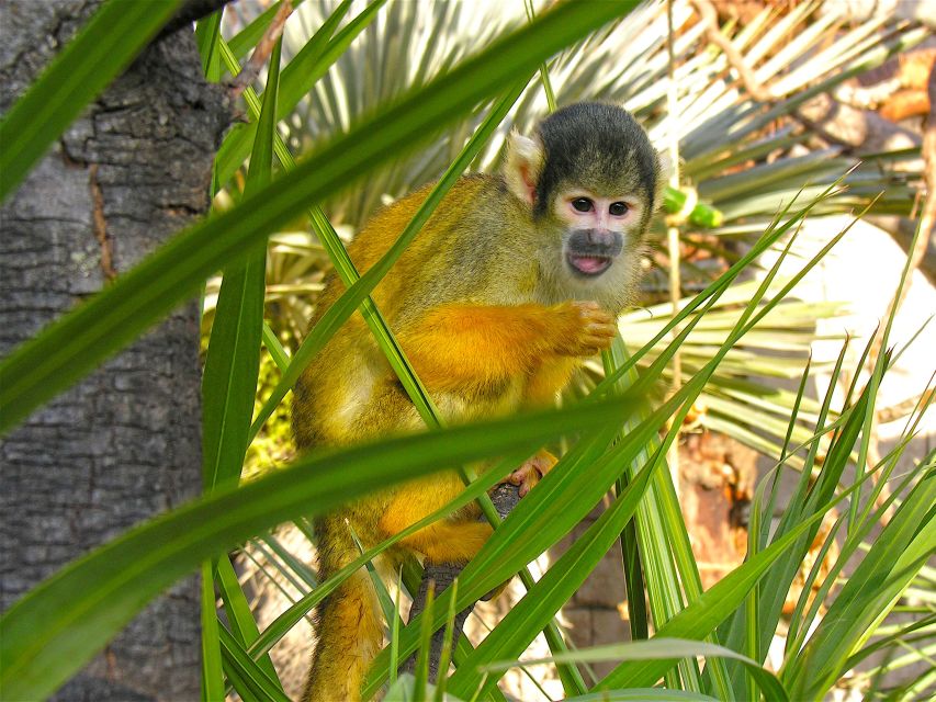 Benidorm: Terra Natura Theme Park 1-Day Tickets - What Terra Natura does better than a standard zoo