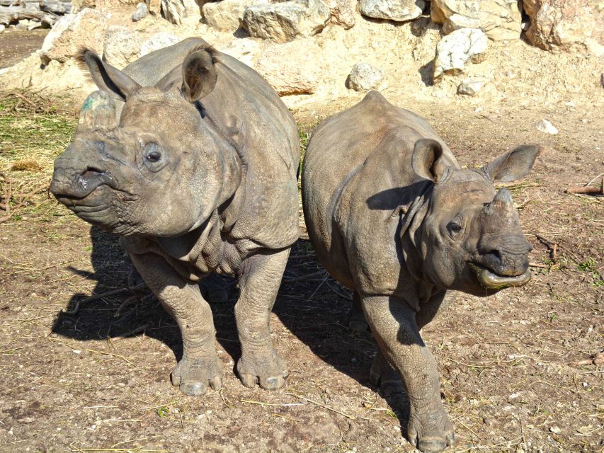 Benidorm: Terra Natura Theme Park 1-Day Tickets - Keeper talks make the animals easier to understand