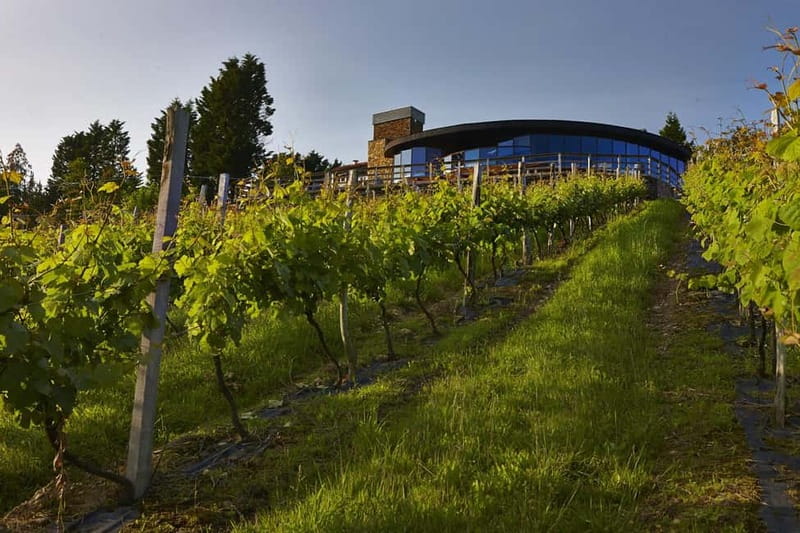 Bilbao: Gaztelugatxe, Bermeo, Mundaka, Gernika, & Wine Tour - The guide can make or break the day