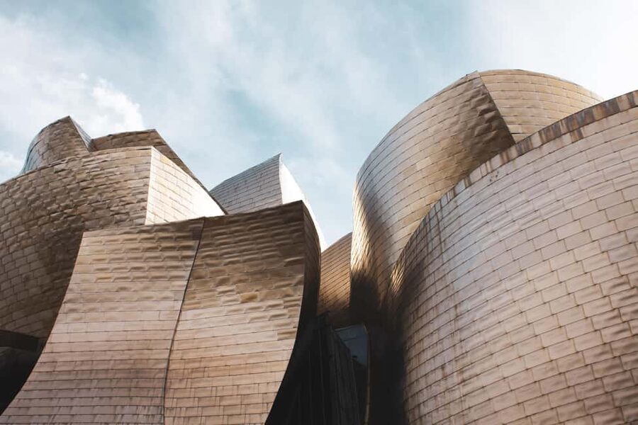 Bilbao: Guggenheim Museum Tour with Skip-the-Line Tickets - Languages, access, and practical comfort