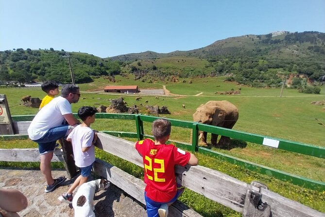 Cabarceno Natural Park Guided Visit from Santander - The guide can shape the whole afternoon