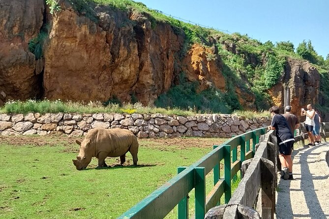 Cabarceno Natural Park Guided Visit from Santander - Is $90.11 a fair price?