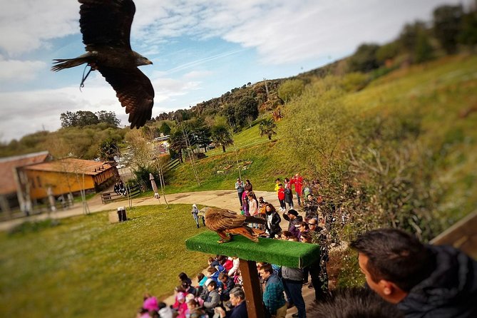 Cabarceno Natural Park Guided Visit from Santander - Who should book this Cabarceno tour?