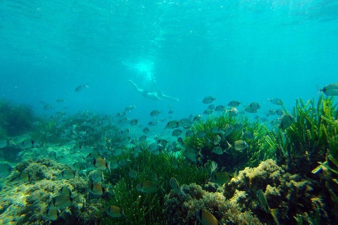 Cabo de Gata Active. Guided kayak and snorkel route through coves of the Natural Park - Friendly guides make a big difference