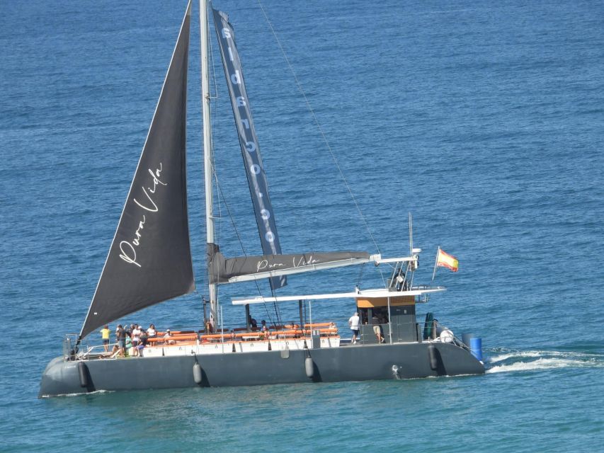 Cádiz: Bay of Cádiz Catamaran Tour with Host - Key points to know before you book