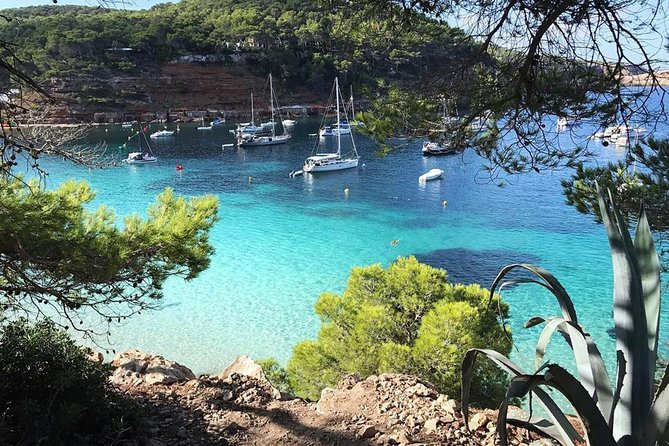 Cala Salada and Unspoiled North Beach Tour. Snorkelling and Aquarium - A six-hour view of Ibiza from San Antonio