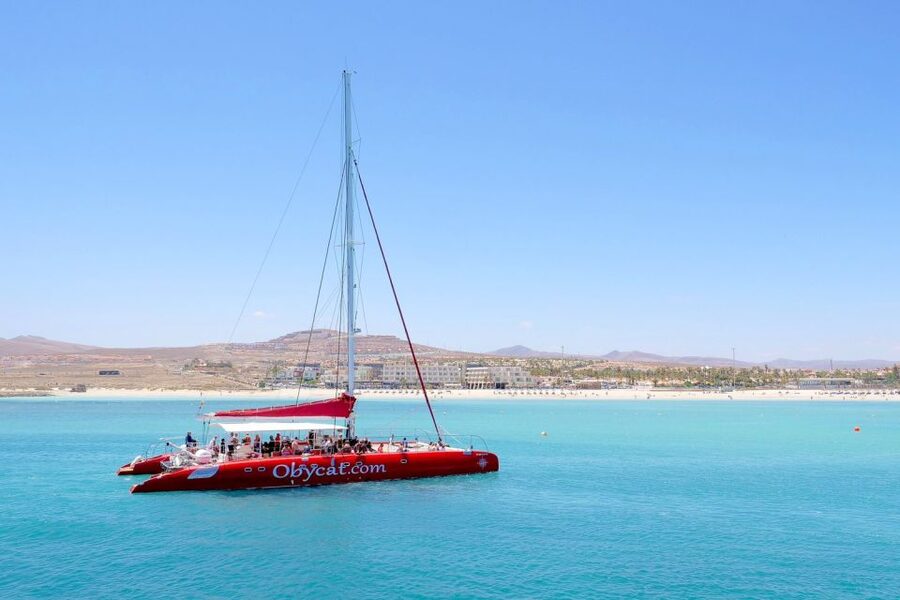 Caleta de Fuste: Catamaran Sailing Experience - Should you book the Caleta de Fuste catamaran?