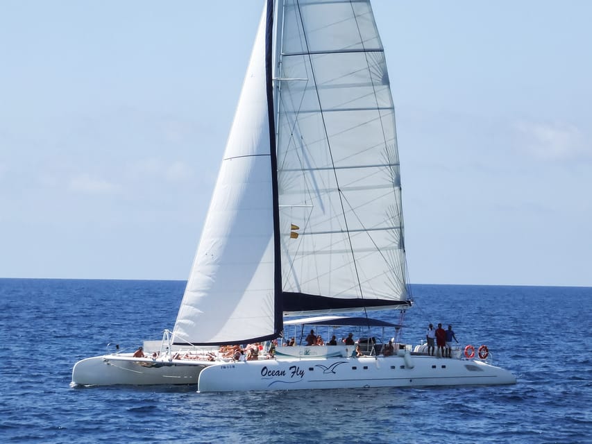 Cambrils: Costa Daurada Sail Catamaran Cruise - Who will enjoy this cruise most?