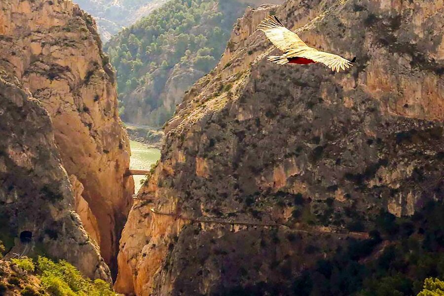 Caminito del Rey: Entry Ticket - Old Railway Works Beside New Walkways