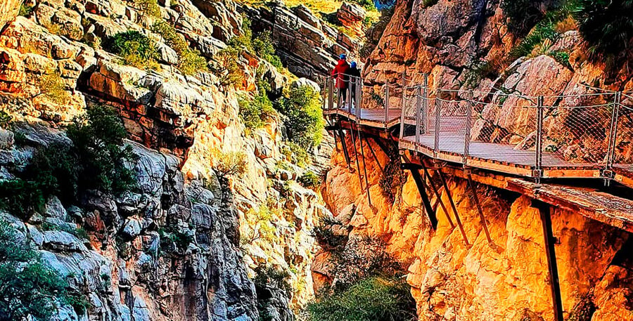 Caminito del Rey: Tour with Official Guide and Drink - Key points before you book