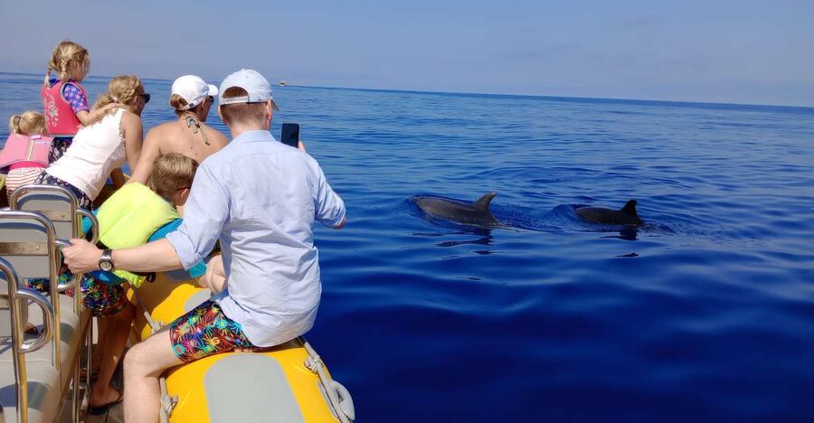 Can Picafort: Dolphin Watching Boat Tour with Swimming - Leaving Can Picafort Marina on a fast boat