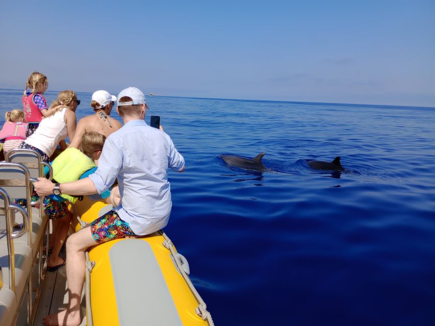 Can Picafort: Dolphin Watching Boat Tour with Swimming - Watching Mallorca’s northern coast from offshore
