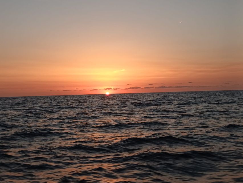 Can Picafort: Dolphin Watching Boat Tour with Swimming - How the $79 price works out