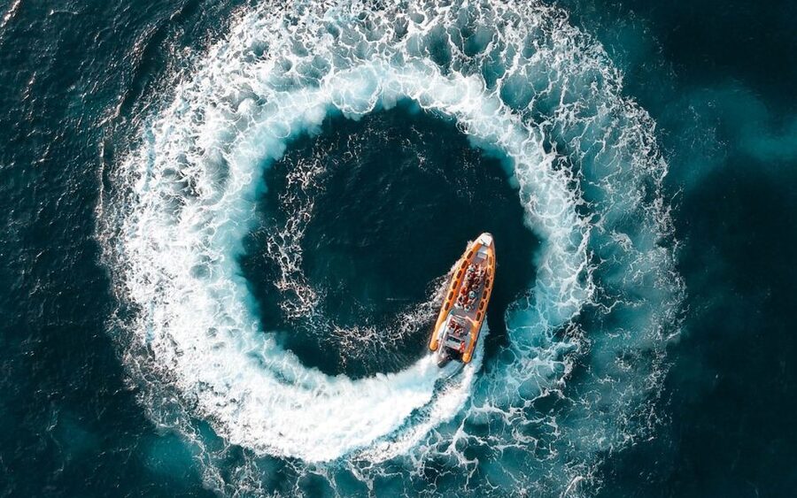 Can Picafort: Dolphin Watching Boat Tour with Swimming - Searching for dolphins in open water