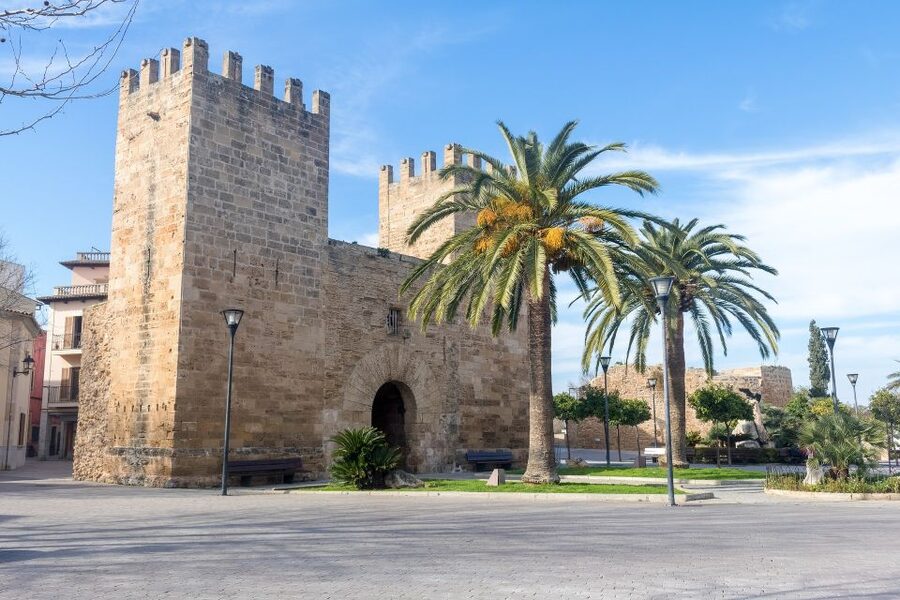 Cap de Formentor: Market, Beach, and Alcudia Tour - The Traditional Market: A Taste of Everyday Mallorca