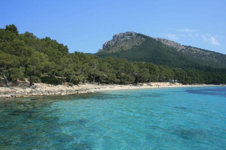 Cap de Formentor: Market, Beach, and Alcudia Tour - Who Gets the Most Value From $69?