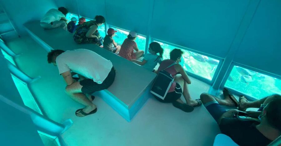 Cap Norfeu: Costa Brava Catamaran Trip with Underwater Views - Why This Costa Brava Boat Trip Is Worth Your Time