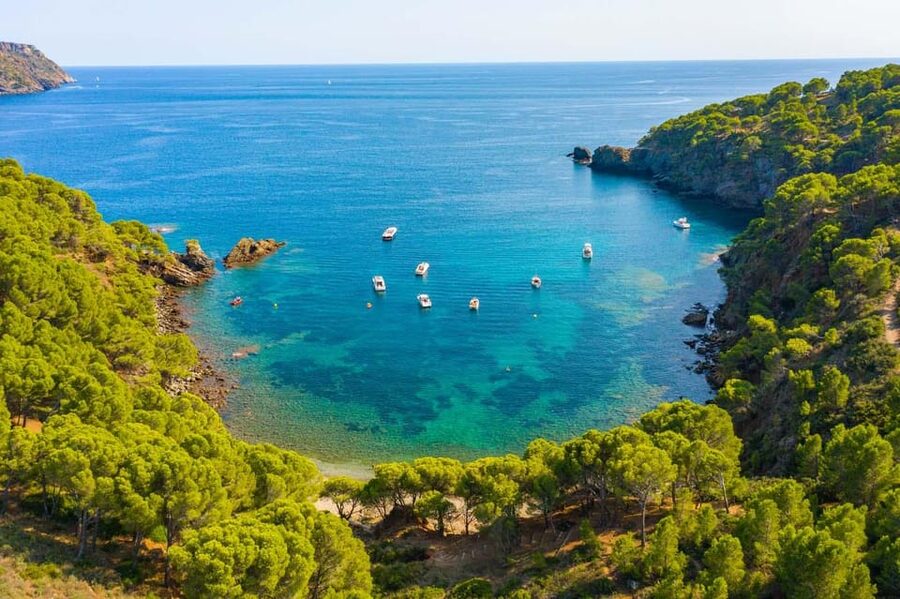 Cap Norfeu: Costa Brava Catamaran Trip with Underwater Views - Leaving Roses: Port, Lighthouse, and Castle Views