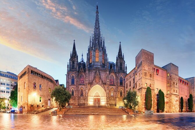 Cathedral of Barcelona Entrance Ticket - Optional Private Guide - Key points to know before booking